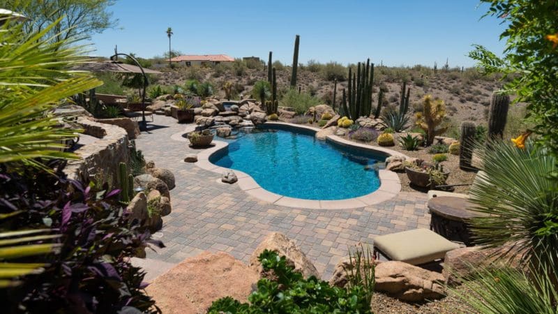 Desert Landscaping Ideas With Freeform Pool Designs
