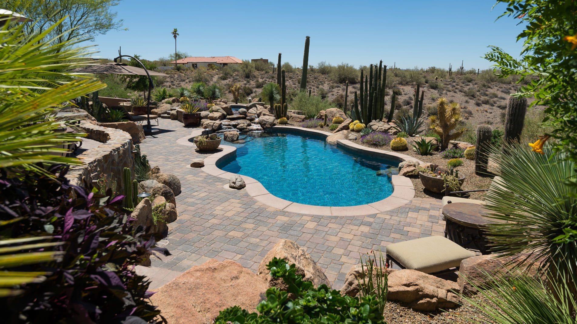 Pool Design Ideas Freeform Desert Oasis California Pools And Landscape